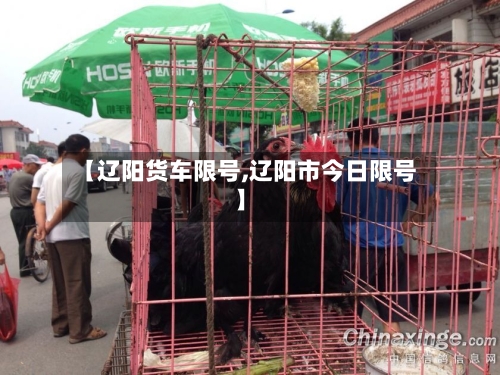 【辽阳货车限号,辽阳市今日限号】